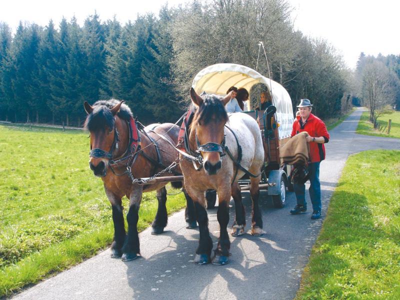 Landgasthof Lang Zum Adler Oberkalbach المظهر الخارجي الصورة